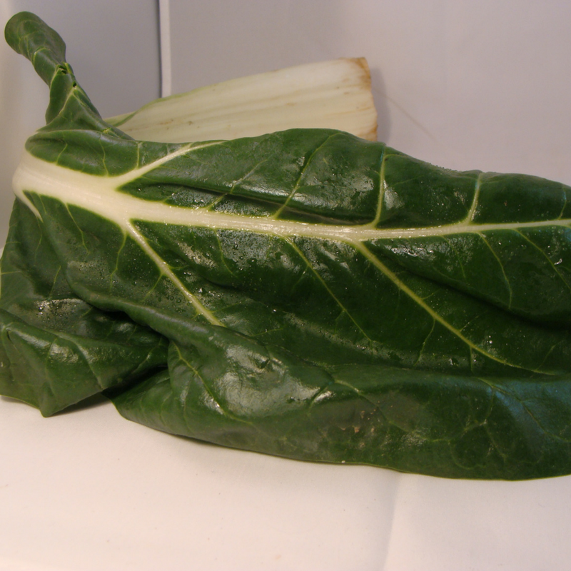 blette bio- Du Panier à l'Assiette blette bio- Du Panier à l'Assiette