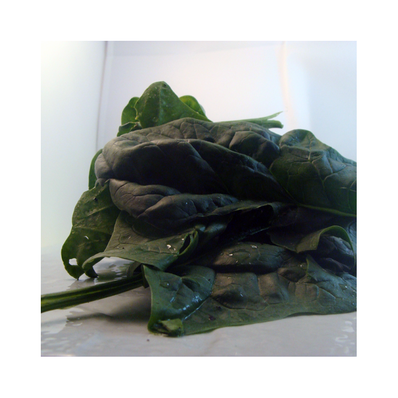 épinard bio- Du Panier à l'Assiette épinard bio- Du Panier à l'Assiette