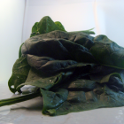 épinard bio- Du Panier à l'Assiette