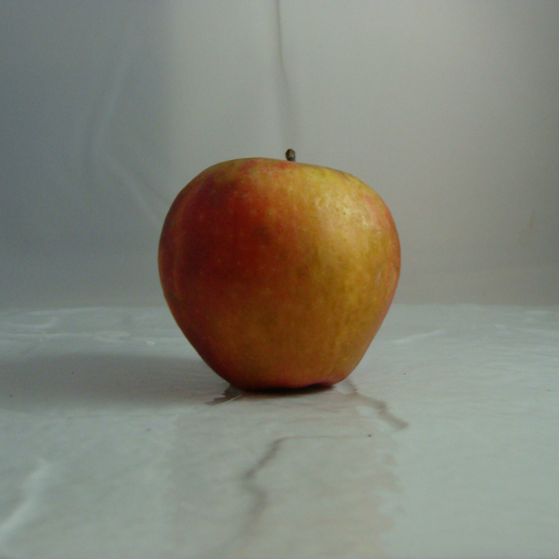 Pomme Dalinette Bio - Du Panier à l'Assiette