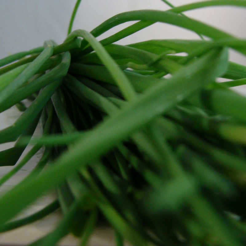 Ciboulette bio- Du Panier &agrave; l'Assiette