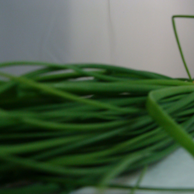Ciboulette bio- Du Panier &agrave; l'Assiette