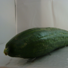 concombre bio- Du Panier &agrave; l'Assiette