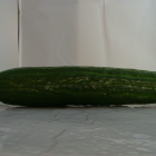 concombre bio- Du Panier &agrave; l'Assiette