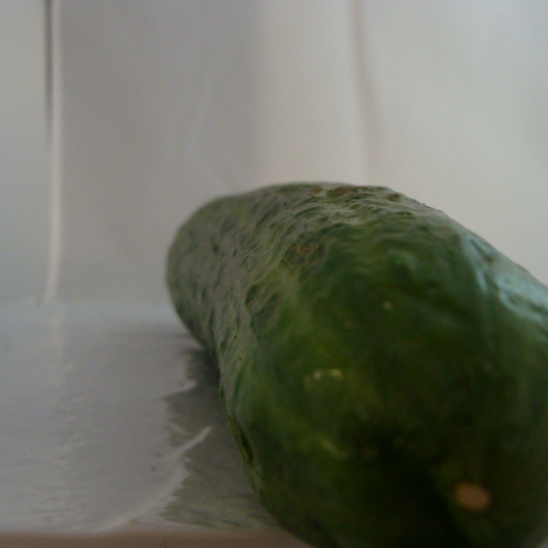 concombre bio- Du Panier &agrave; l'Assiette