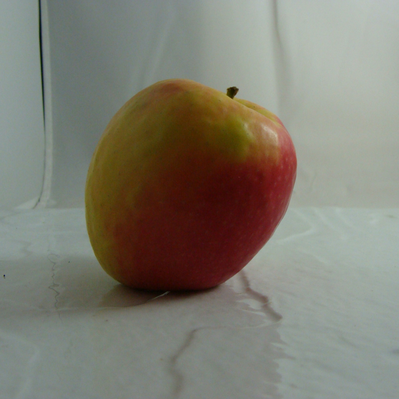 Pomme Crisp Bio - Du Panier &agrave; l'Assiette