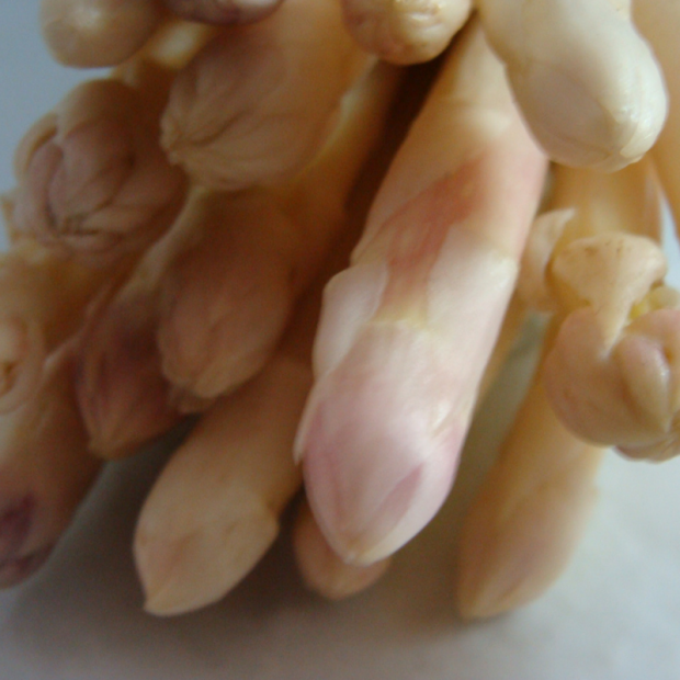 asperge bio- Du Panier &agrave; l'Assiette