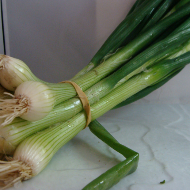 oignon botte bio- Du Panier &agrave; l'Assiette