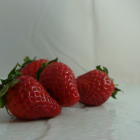 Fraise bio- Du Panier à l'Assiette Fraise bio- Du Panier à l'Assiette