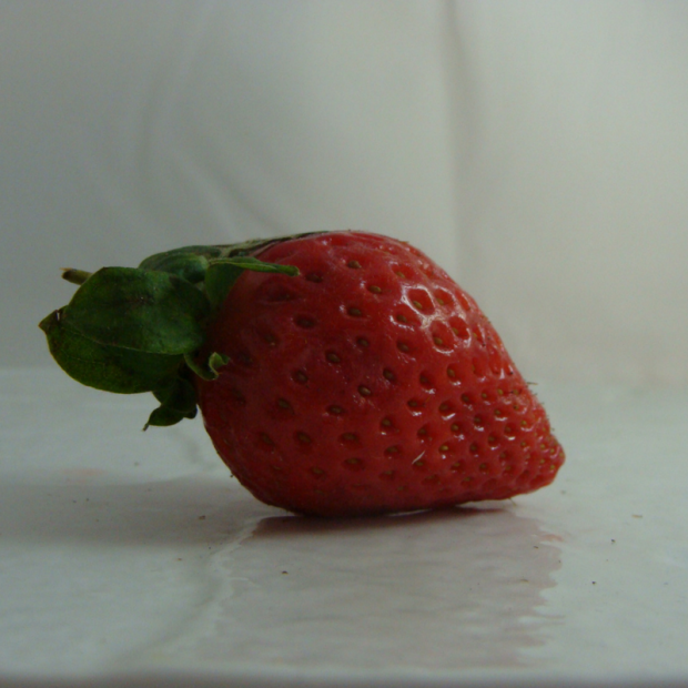 Fraise bio- Du Panier &agrave; l'Assiette