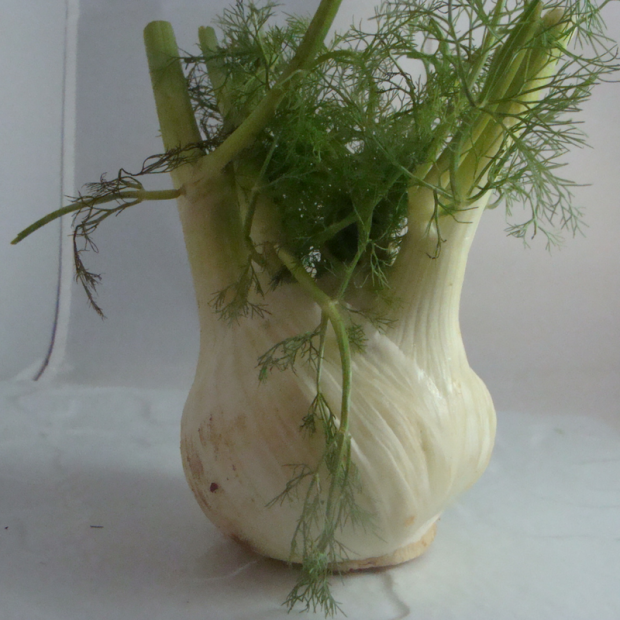 fenouil bio- Du Panier à l'Assiette