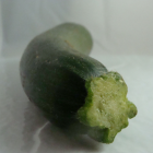 courgette bio- Du Panier à l'Assiette courgette bio- Du Panier à l'Assiette